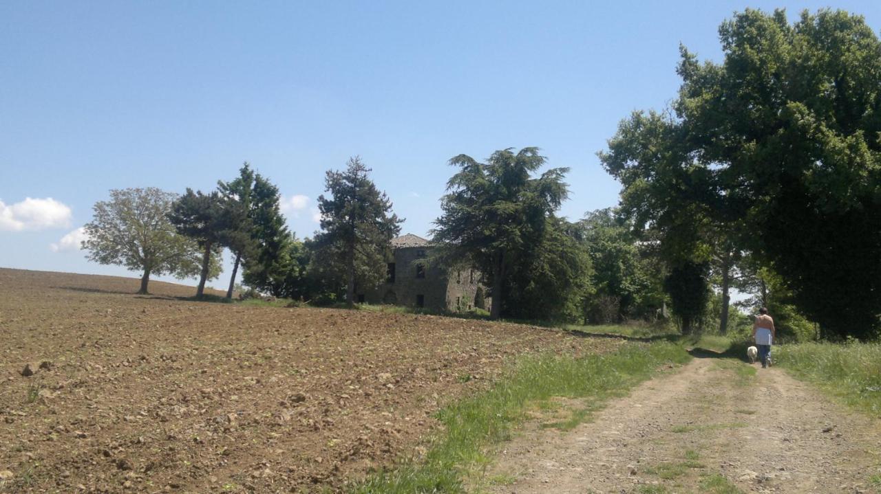 Appartamento Miralago Больсена Экстерьер фото